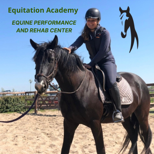 Equitation Academy